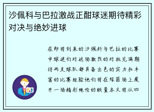 沙佩科与巴拉激战正酣球迷期待精彩对决与绝妙进球