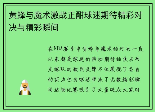 黄蜂与魔术激战正酣球迷期待精彩对决与精彩瞬间