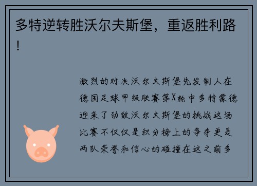 多特逆转胜沃尔夫斯堡，重返胜利路！